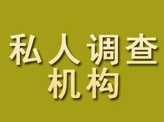 嘉鱼私人调查机构